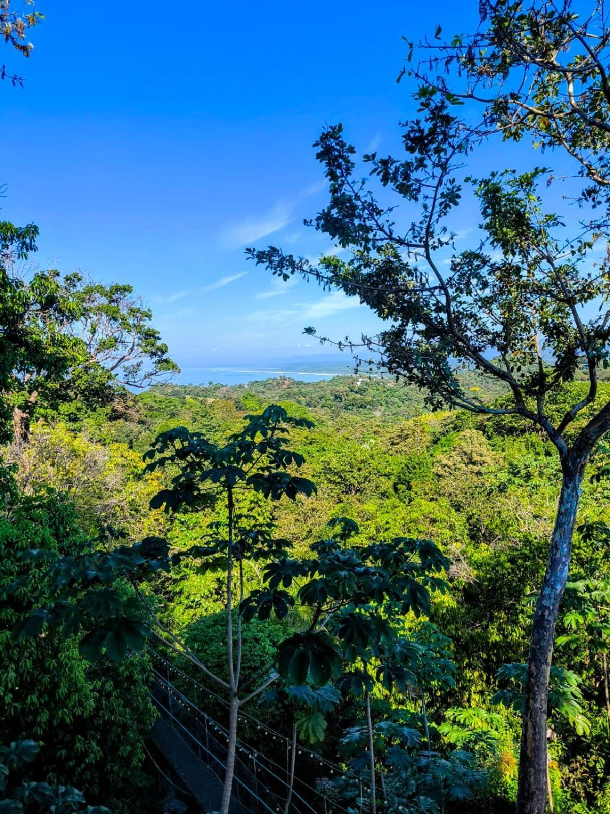 Mountain Top Park Hotel Quepos Zewnętrze zdjęcie